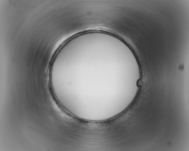 X0000113121032200908281037