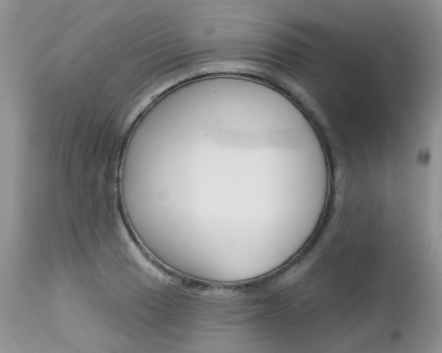 X0000113121033200908281037