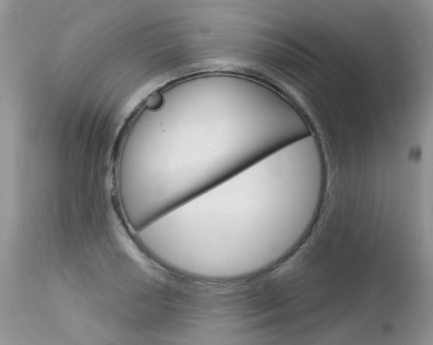 X0000113121034200908281037