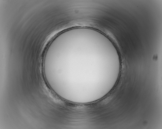 X0000113121035200908281037