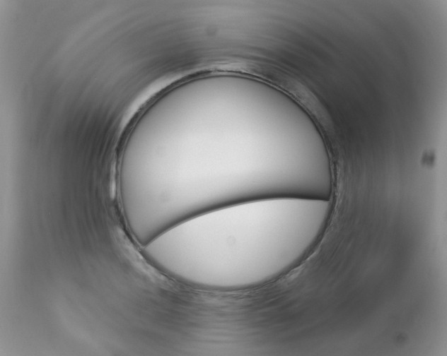 X0000113121036200908281037