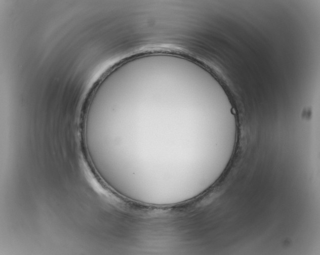 X0000113121038200908281037
