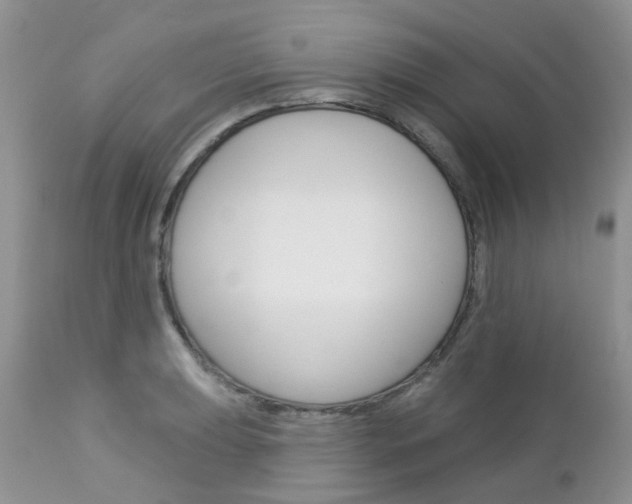 X0000113121039200908281038