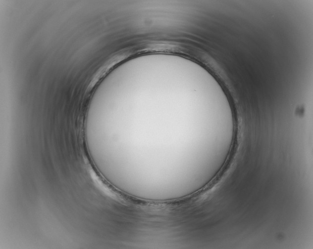 X0000113121041200908281038
