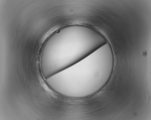 X0000113121042200908281038