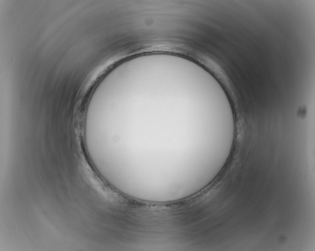 X0000113121043200908281038