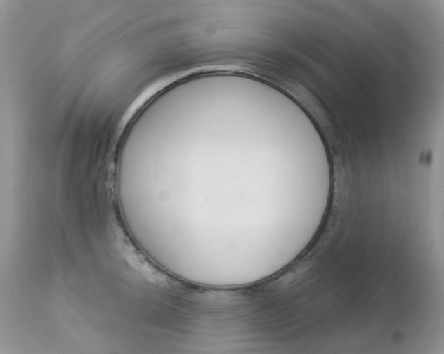 X0000113121044200908281038