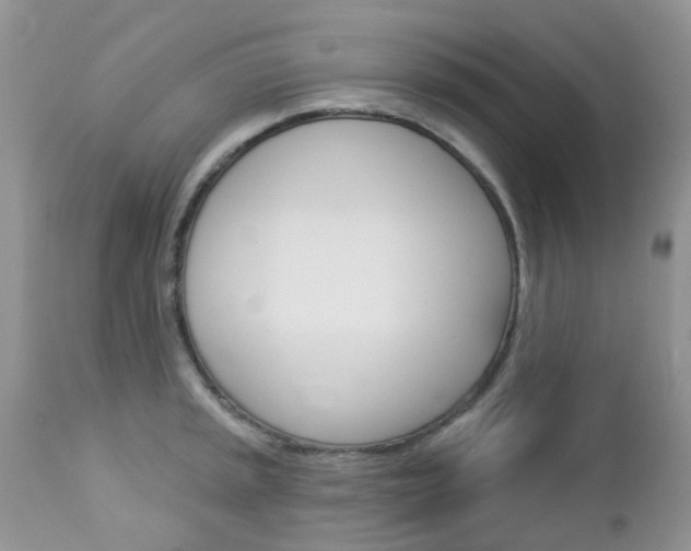 X0000113121045200908281038