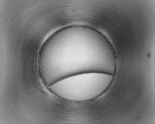 X0000113121046200908281038