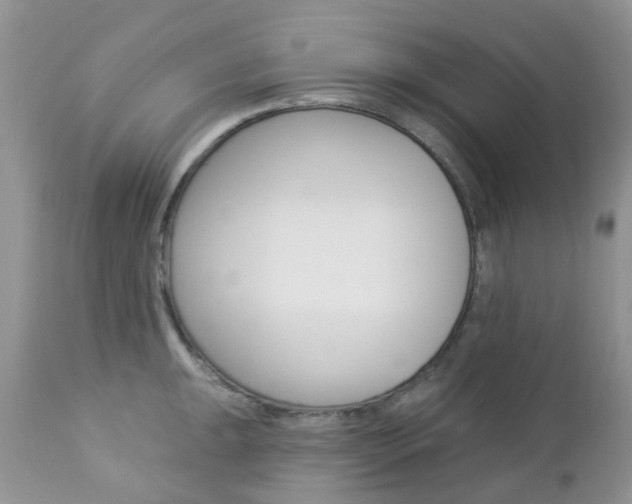 X0000113121047200908281038