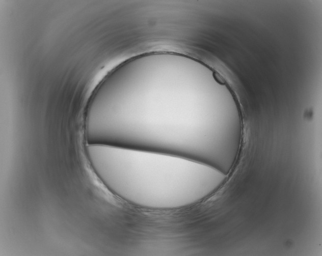 X0000113121048200908281038