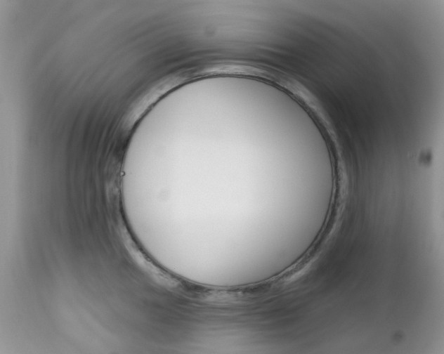 X0000113121049200908281038