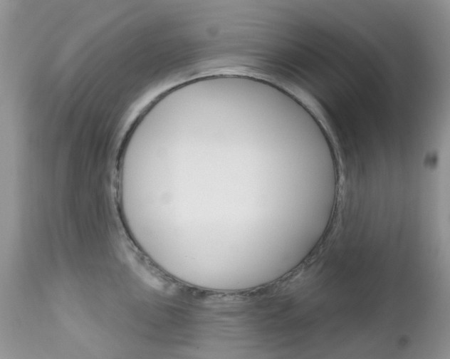X0000113121051200908281038