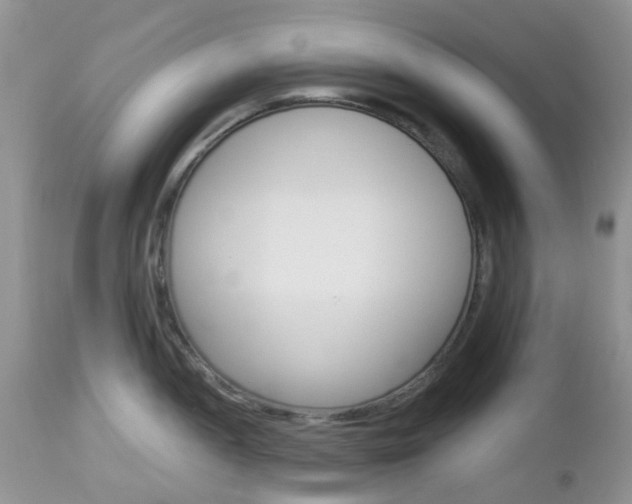 X0000113121052200908281038