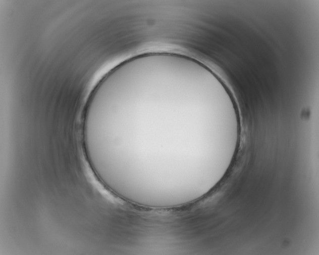 X0000113121053200908281038