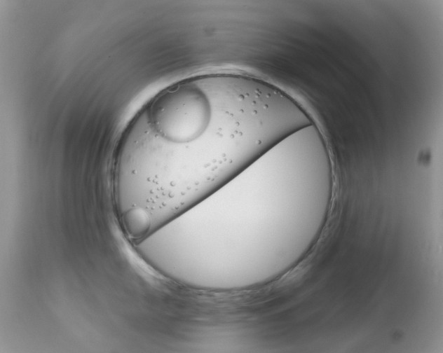 X0000113121054200908281038