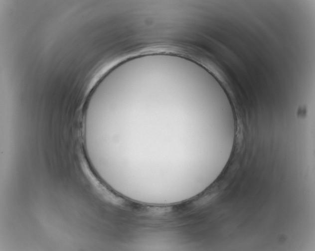 X0000113121055200908281038