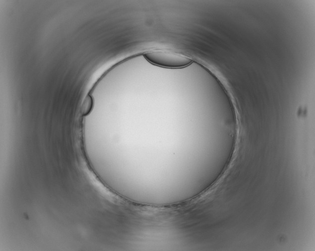 X0000113121056200908281038