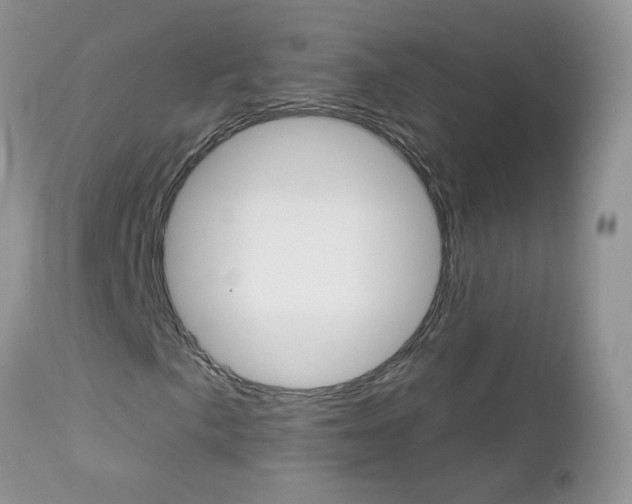 X0000113121057200908281037