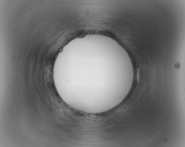 X0000113121059200908281037