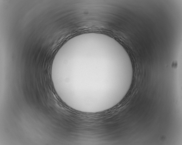 X0000113121060200908281037