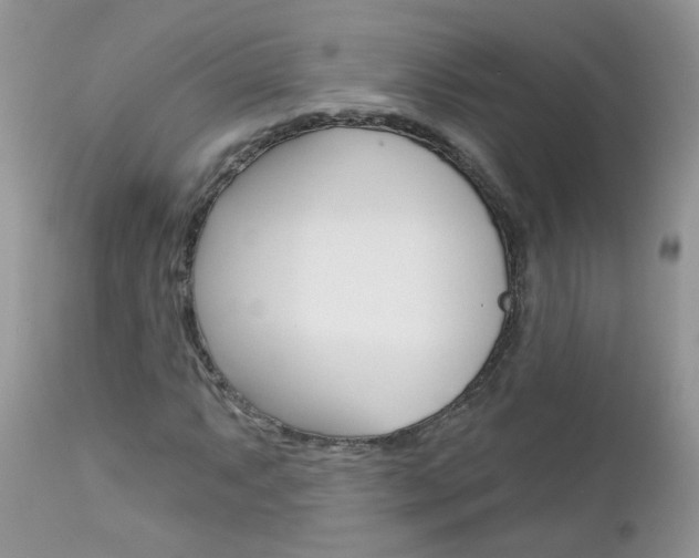 X0000113121063200908281037