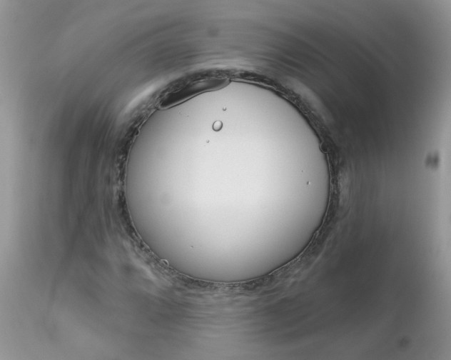 X0000113121064200908281037