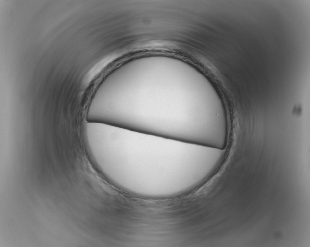 X0000113121066200908281037