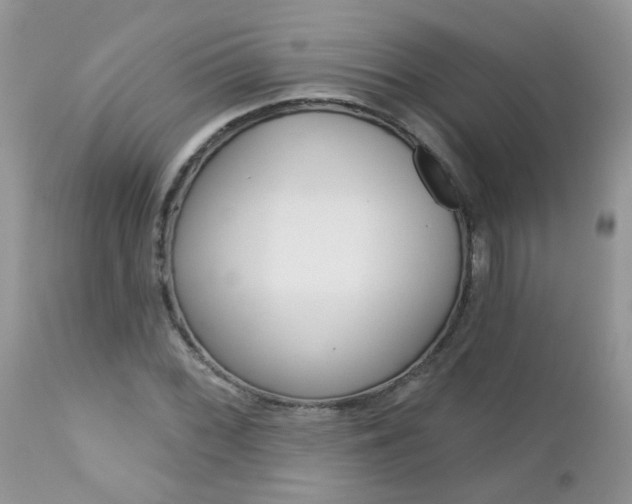 X0000113121068200908281037