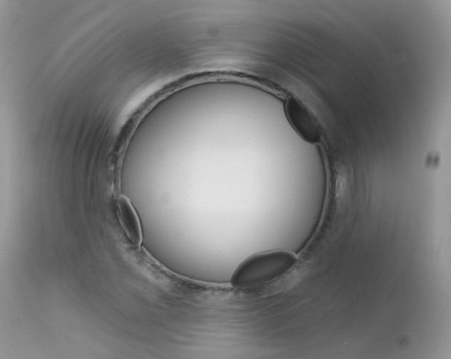 X0000113121069200908281037