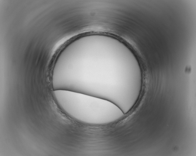 X0000113121070200908281037