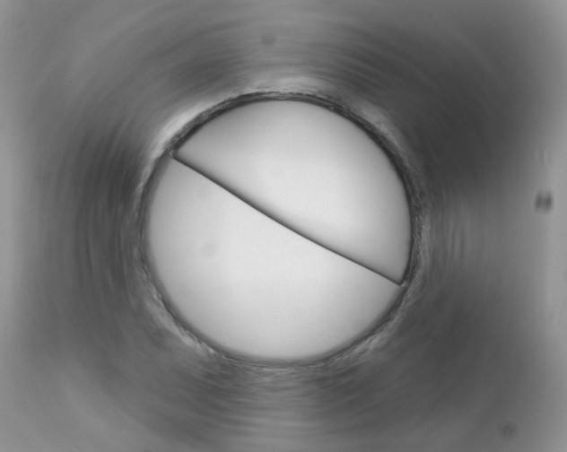 X0000113121071200908281037