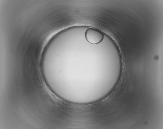 X0000113121072200908281037