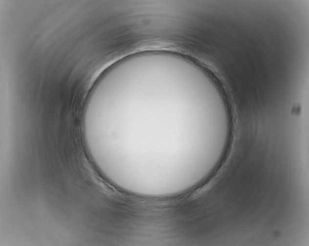 X0000113121073200908281037