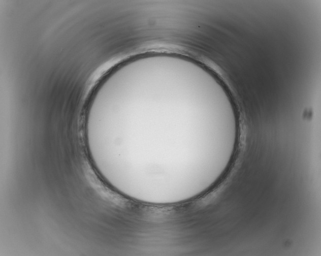 X0000113121074200908281037