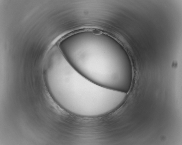 X0000113121076200908281037