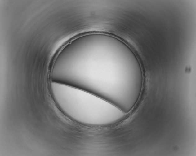 X0000113121077200908281037