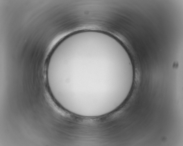 X0000113121078200908281037