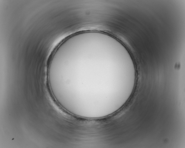 X0000113121079200908281037
