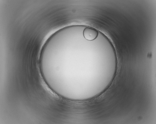 X0000113121080200908281037