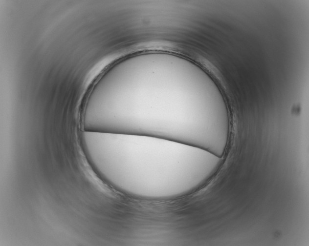 X0000113121082200908281037