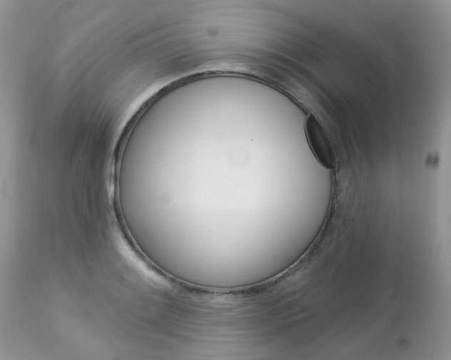 X0000113121084200908281037