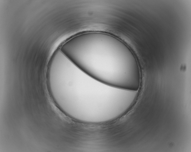 X0000113121085200908281037