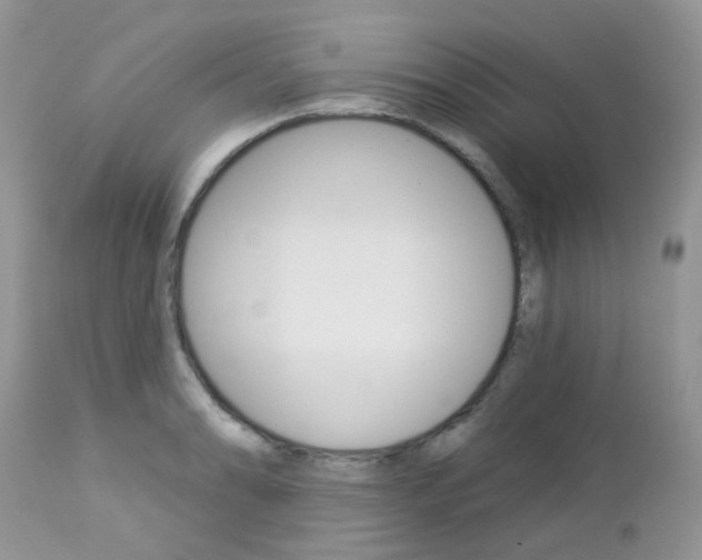 X0000113121086200908281037