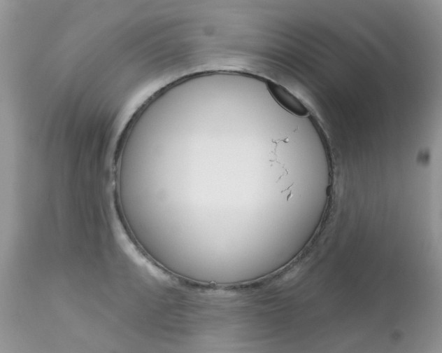 X0000113121088200908281037