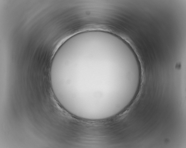 X0000113121089200908281037
