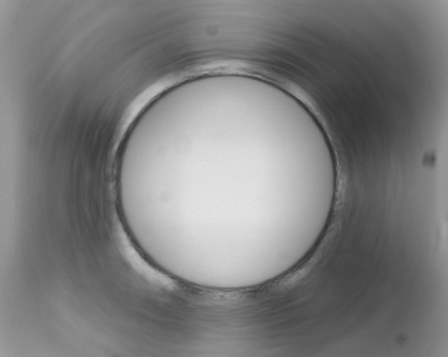 X0000113121090200908281037