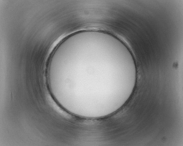 X0000113121091200908281037