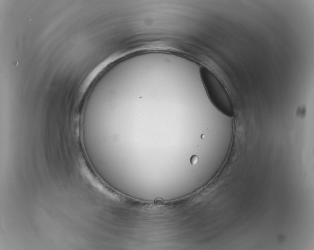 X0000113121092200908281037