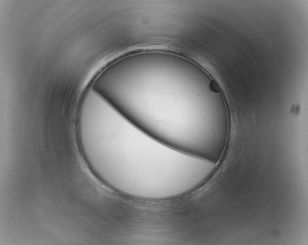 X0000113121093200908281037